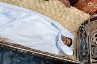  সারিয়াকান্দিতে পাখি ধরতে গিয়ে সাপের কামড়ে শিশুর মৃত্যু